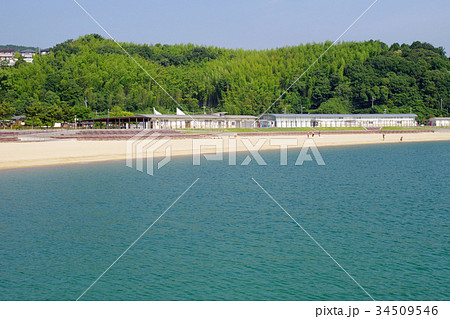 潮風公園の浜辺 潮風公園の浜辺 34509546
