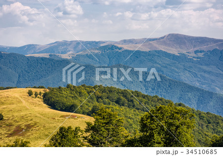 alpine grassy meadow in autumnal Carpathians 34510685