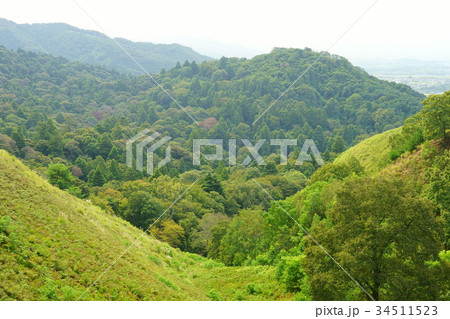 若草山原生林 34511523