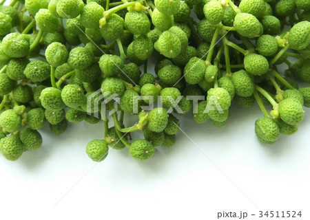 実山椒(みざんしょう) 実山椒(みざんしょう) 34511524