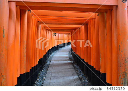 京都伏見稲荷大社 京都伏見稲荷大社 34512320