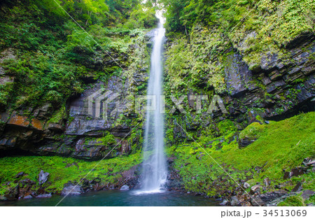 岐阜県　郡上市　夏の阿弥陀ヶ滝 34513069