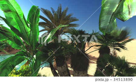Verdant tropical plants on wasteland in the 34513890