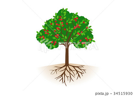 Fruited Roots With Trees Stock Illustration
