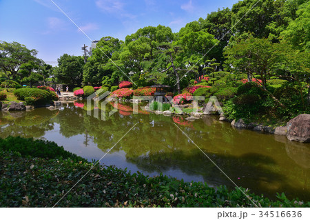japanese garden with bird 34516636