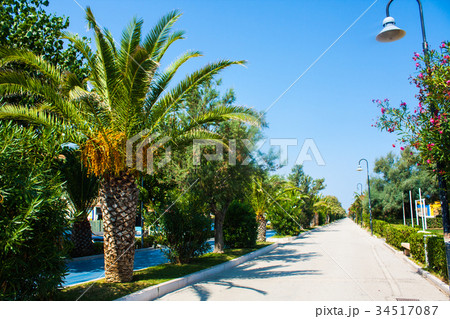 Adriatic sea coast Seashore of city Alba Adriatica 34517087
