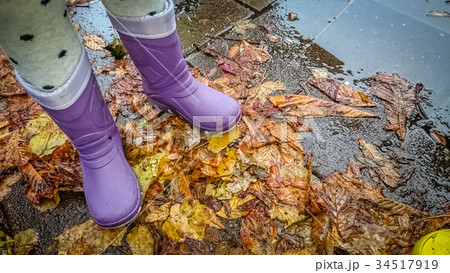 In the puddle In the puddle 34517919