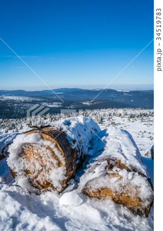 A pile of logs covered in snow 34519783
