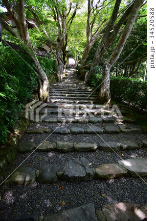 八瀬大原、寂光院 八瀬大原、寂光院 34520588