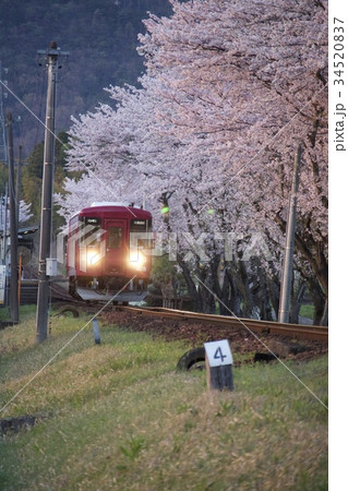 夕景の長良川鉄道 34520837