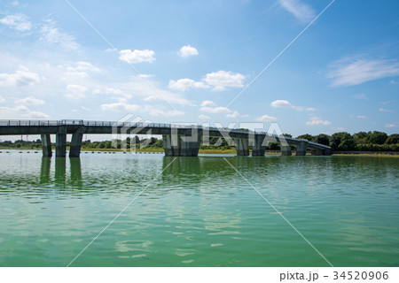 彩湖　癒しスポット　水がめ湖 34520906