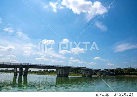 彩湖　癒しスポット　水がめ湖 34520924