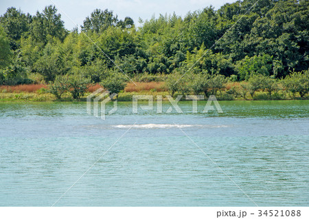 彩湖　水がめ湖　吹き出し水 34521088