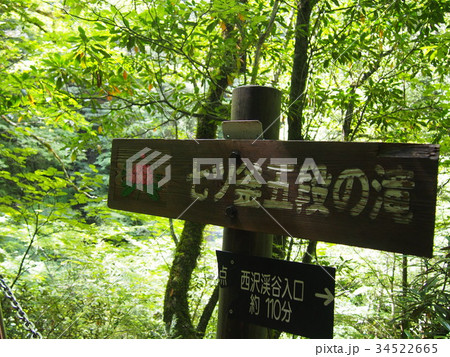 西沢渓谷 七ツ釜五段の滝 西沢渓谷 七ツ釜五段の滝 34522665
