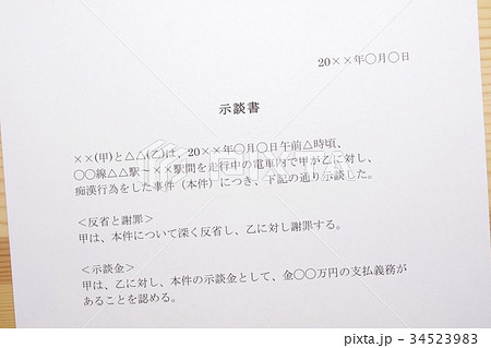 示談書(痴漢行為) 示談書(痴漢行為) 34523983