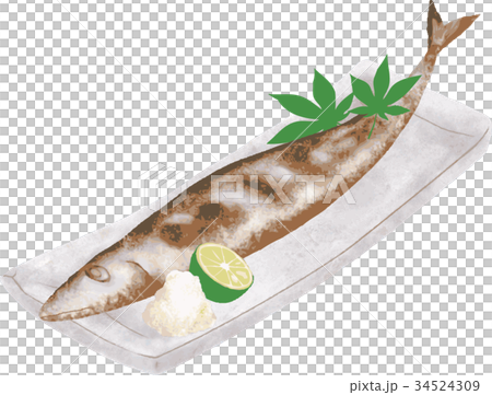 Salt Grilled Saury Stock Illustration