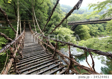 祖谷のかずら橋 34524461