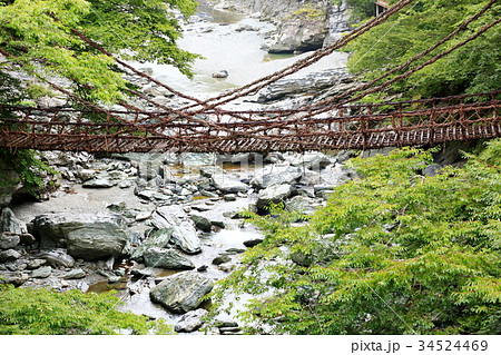 祖谷のかずら橋 34524469