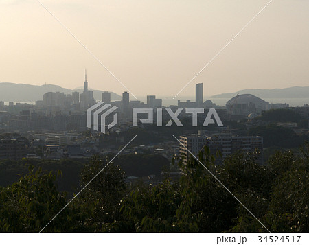 福岡市の夕景 34524517