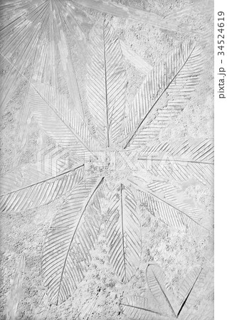 old marks of leaf on the gray concrete background old marks of leaf on the gray concrete background 34524619