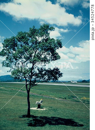 香川県高松空港さぬきこどもの国の木と遊具 香川県高松空港さぬきこどもの国の木と遊具 34524778