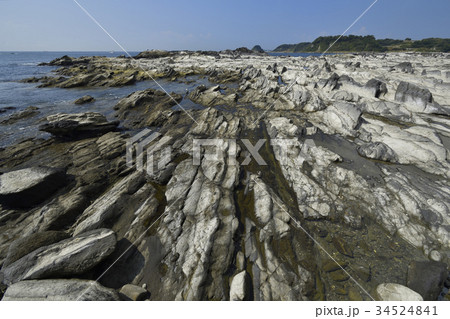 三浦半島高磯、三浦岩礁のみち   34524841
