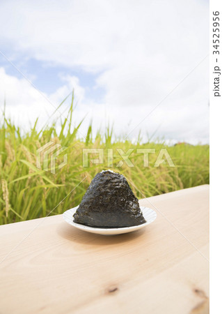 おにぎりと稲穂　収穫イメージ 34525956