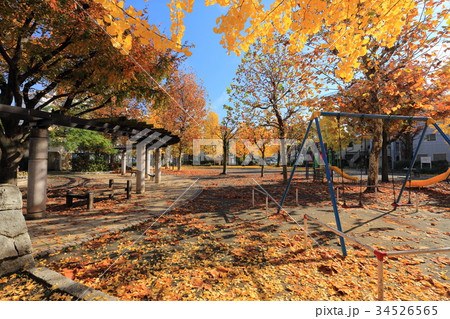 足立区東和 稗田(ひえだ)公園の秋 足立区東和 稗田(ひえだ)公園の秋 34526565