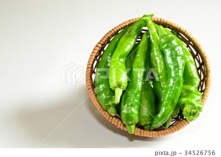 万願寺ししとう 34526756