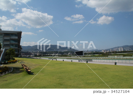 阪神競馬場 阪神競馬場 34527104
