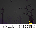 ハロウィンイラスト　夜景 34527638