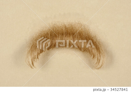 Mustache for Film and Theatre Mustache for Film and Theatre 34527841