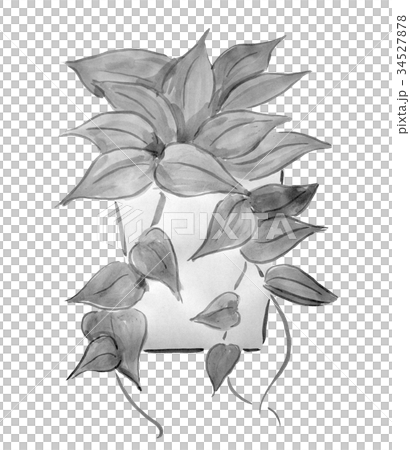 水墨画 植物 墨絵の写真素材 - PIXTA