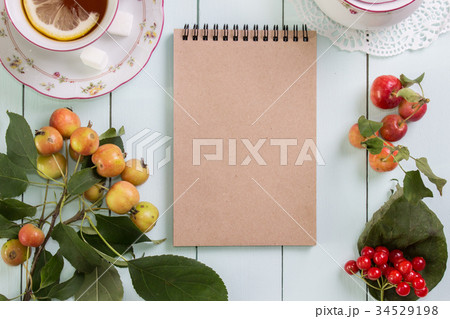 Kraft paper spiral notebook Mock-up. Apples Kraft paper spiral notebook Mock-up. Apples 34529198