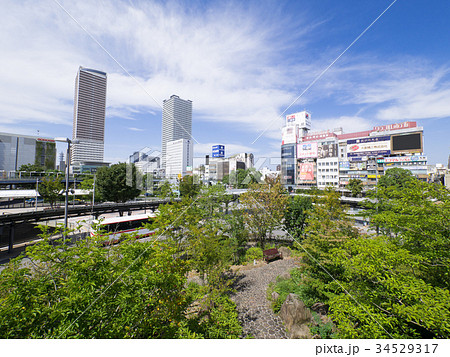 岐阜駅前都市風景　岐阜駅北口　駅前広場　やすらぎの里（里山広場） 34529317
