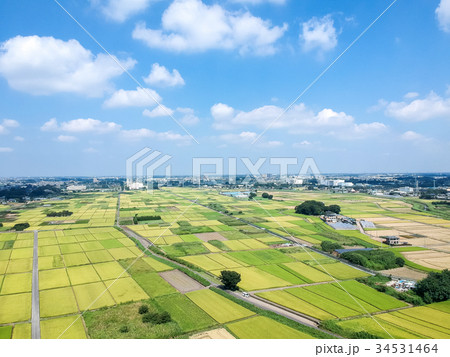 空撮パノラマ　見沼田んぼ　 34531464
