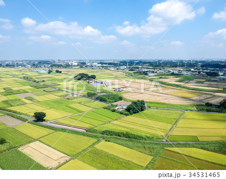 空撮パノラマ 見沼田んぼ 空撮パノラマ 見沼田んぼ 34531465