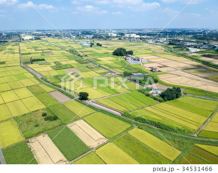 空撮パノラマ 見沼田んぼ 空撮パノラマ 見沼田んぼ 34531466