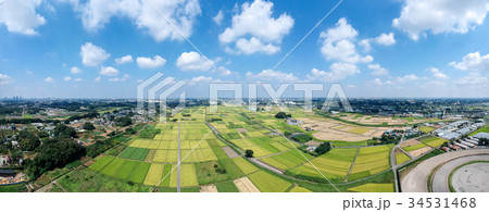 空撮パノラマ　見沼田んぼ　 34531468