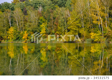 Autumn trees reflecting in lake 34531575