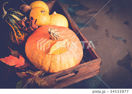 Variety decorative pumpkins 34533977