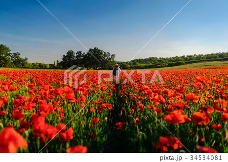 Girl in a hat in the center of a poppy field 34534081
