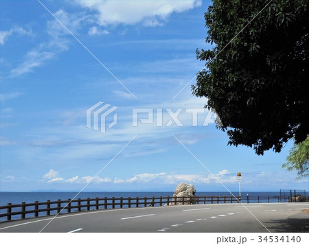 海岸沿いの木陰 海岸沿いの木陰 34534140