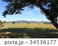 平城旧跡 34536177