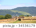 若草山 34536179