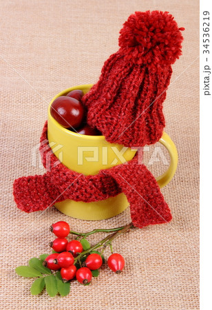 Autumn decoration with cup wrapped scarf 34536219