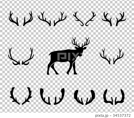 Black silhouettes of different deer horns, vector Black silhouettes of different deer horns, vector 34537372