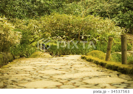 成田山 新勝寺 34537563
