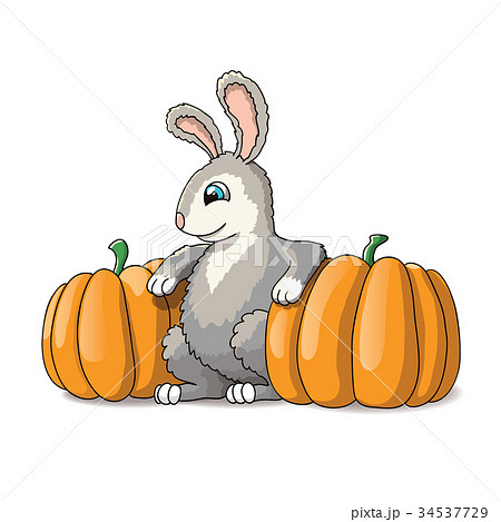 Cute rabbit cartoon illustration with pumpkins Cute rabbit cartoon illustration with pumpkins 34537729