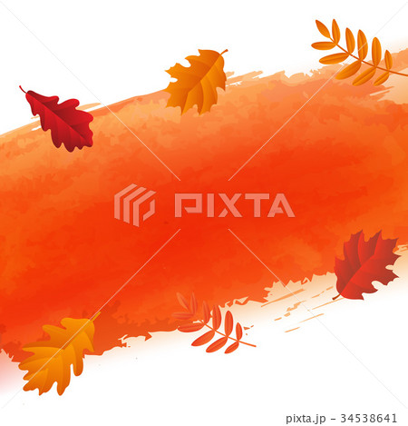 Orange Blot And Autumn Leaves 34538641